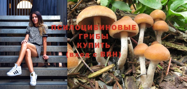 метадон Киреевск
