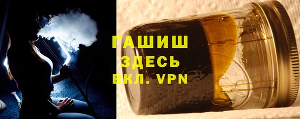гашик Козельск