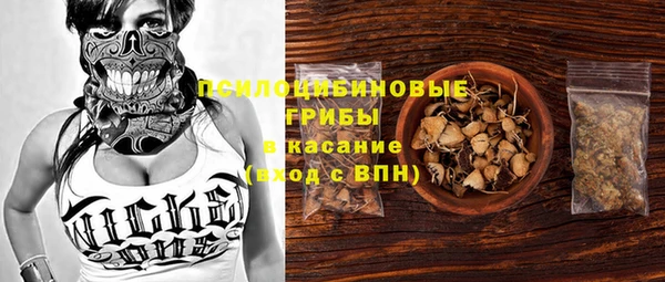 ECSTASY Кинешма
